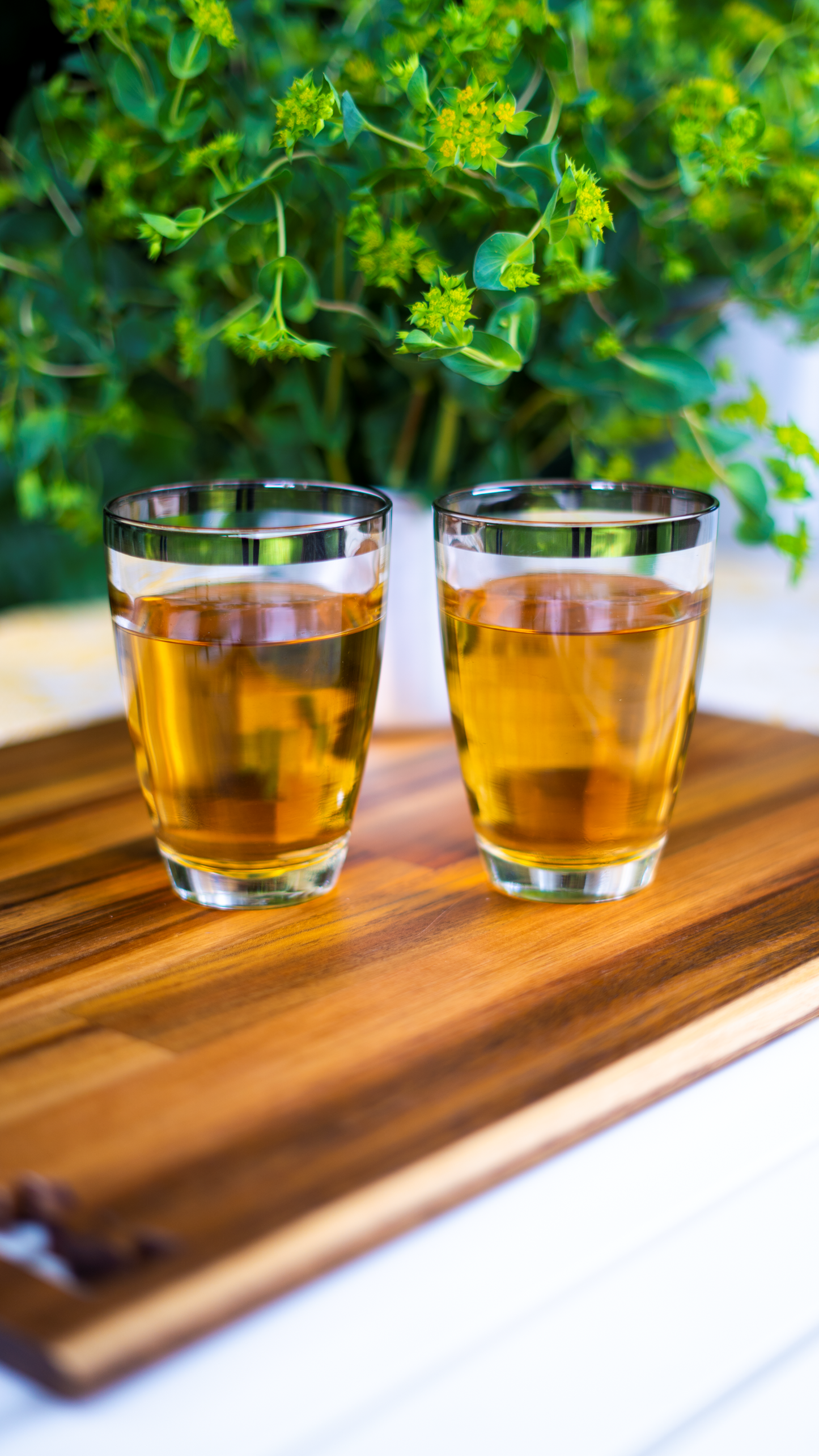 Silver Bullet Highball Glasses (set)