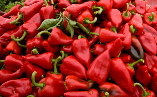 Pantry Items: Piquillo Peppers from Lodosa