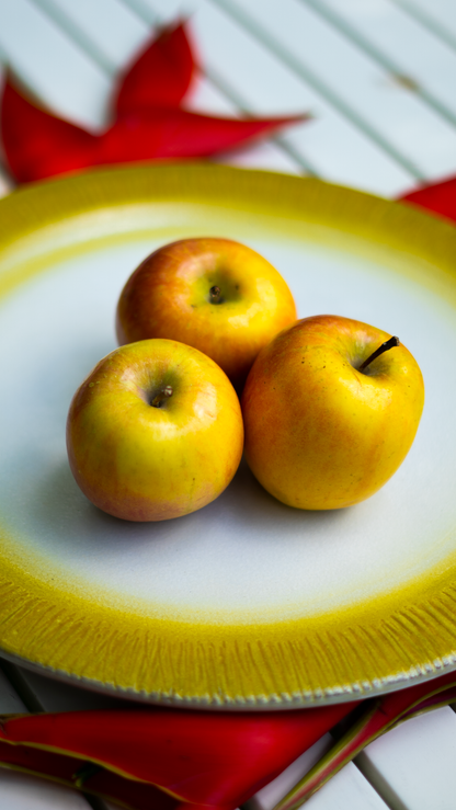 Yellow Pie Crust Serving Plate