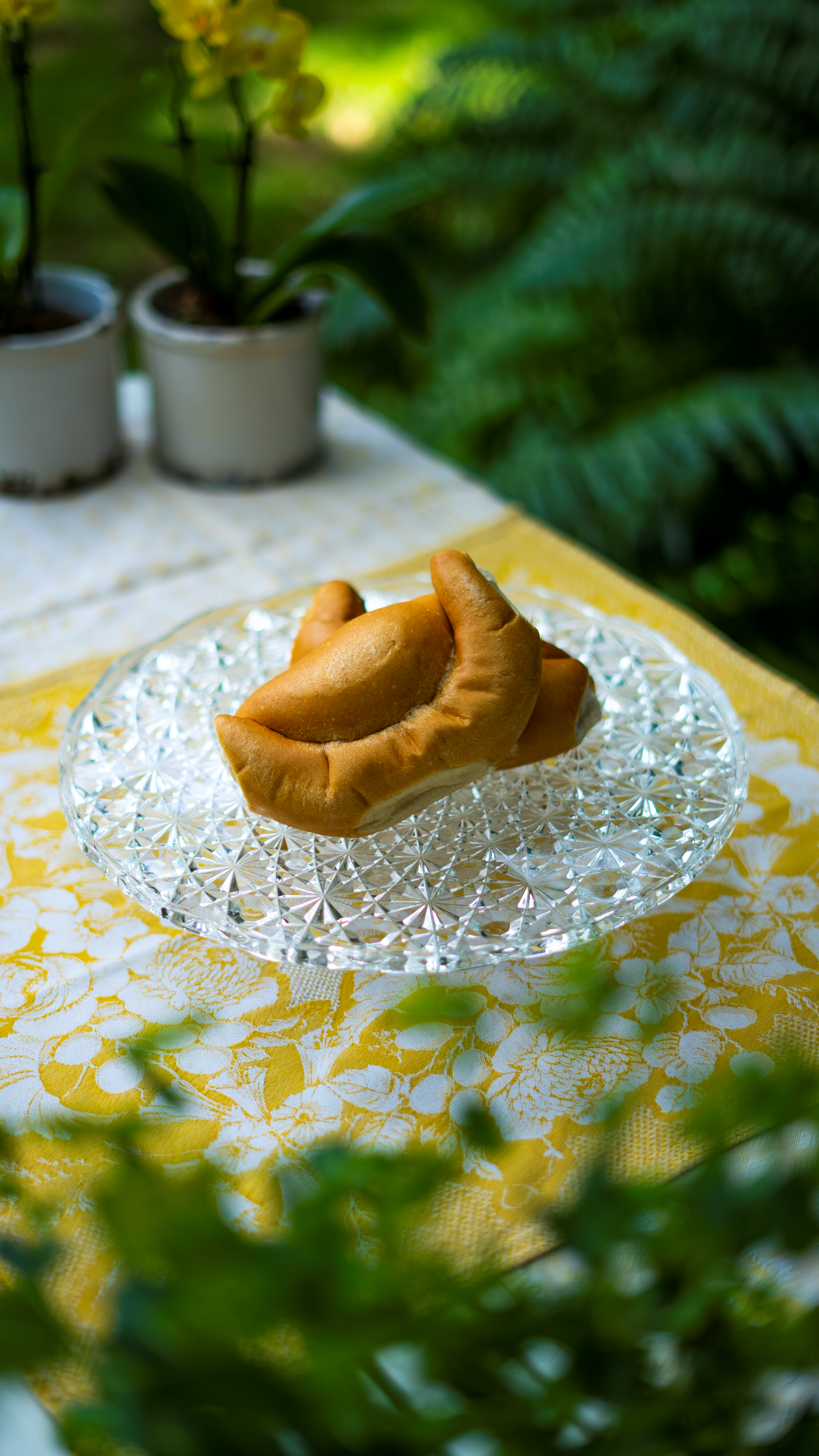 Glass Circles Sunburst Cake Pedestal